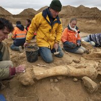 Pie Parīzes atrasts labi saglabājies mamuta skelets