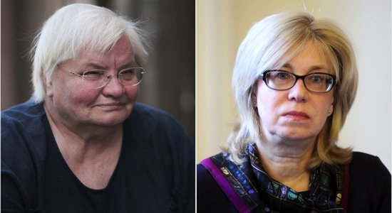 Ina Druviete, Janīna Kursīte: Aicinājums Saeimai un MK, īpaši "Jaunās Vienotības" politiķiem