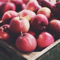 No āboliem līdz rozēm: kas jādara dārzā vēlā rudenī