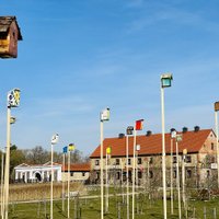 Такого еще не видели: в Северной Литве создали новый город для необычных жителей