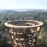 ФОТО. В Дании строится деревянная тропа, которая ведет прямо на небо