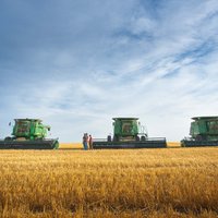 Zemniekiem apdrošināšanas atlīdzībās par zaudētu ražu šogad izmaksāti 7 miljoni eiro