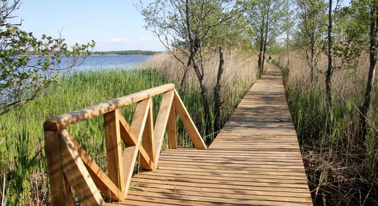 Desmit pastaigu takas, kas ne tikai priecēs acis, bet arī veldzēs karstās vasaras dienās