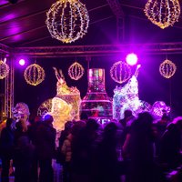 Jelgavā nedēļas nogalē notiks ledus skulptūru karnevāls