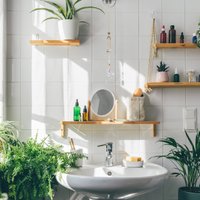 Sešas skaistas vannasistabas augu plauktiņu idejas