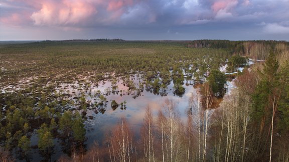 Teiču dabas rezervāts - 6