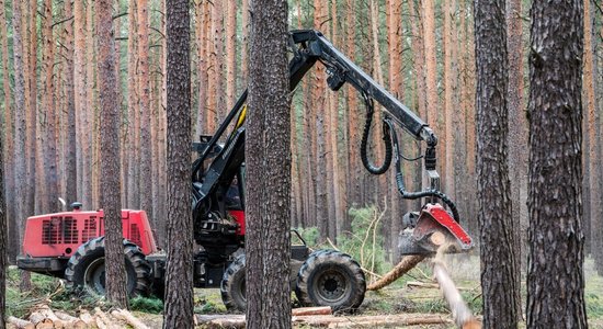 Kokrūpniecības federācija: vairākām nozarēm pazuduši darbinieki, nav skaidrs, kur viņi palikuši