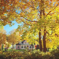 Zelta rudens Latvijā – lasītāji dalās ar krāšņiem foto