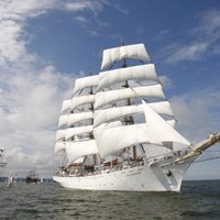 Пора собираться: Этим летом в Клайпеде и Таллине пройдет знаменитая регата больших парусников The Tall Ships Races 2024
