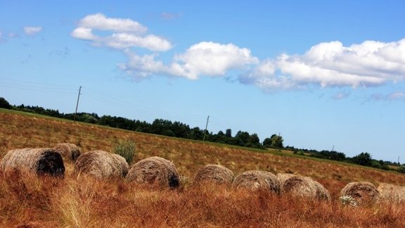 В Латвии зафиксировано землетрясение