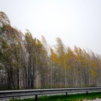 Billie в Латвии: поваленные деревья, тысячи домов без электричества, 150 звонков спасателям