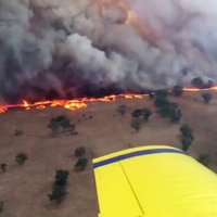 Austrālijā plosās aptuveni 100 savvaļas ugunsgrēki
