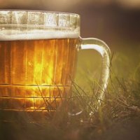 'Valmiermuižas alus' drīzumā sāks realizēt alu Īrijā