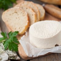 'Cesvaines piens' plāno ražot kazas sieru