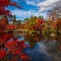 50 оттенков красного: сезон кленовых листьев в Японии (ФОТО)