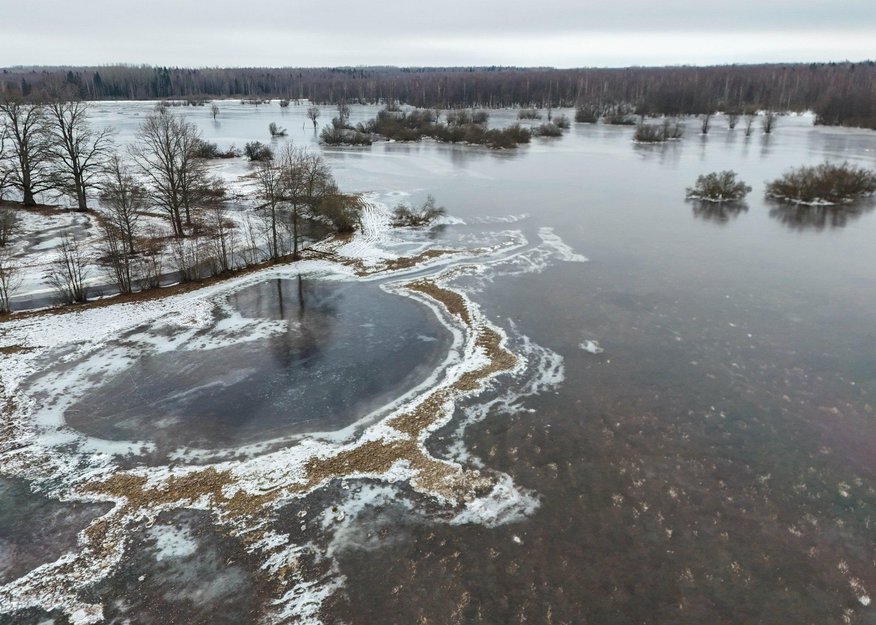 ФОТО. Невероятная красота: ледяное царство Соомаа, по которому можно прокатиться на санках