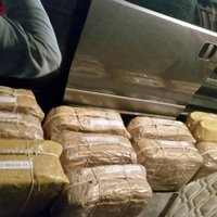 Грузите кокаин чемоданами: откуда в посольстве России взялись наркотики