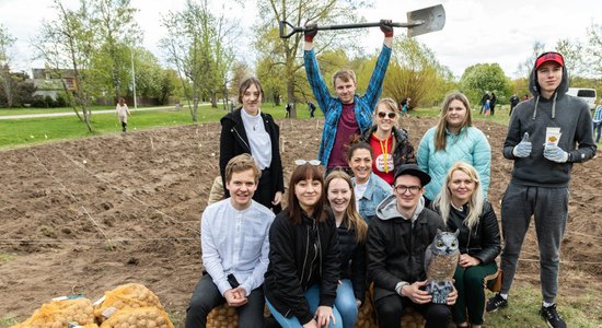 Foto: Fonds 'Viegli' Kuldīgā atklāj kulturālo kartupeļu lauku un radio