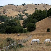 Sausuma māktajā Kalifornijā sodīs par ūdens izšķērdēšanu