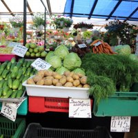 Tirgū maldina pircējus: Itālijā audzētus salātus uzdod par pašmāju preci