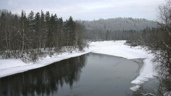 Dzīvnieki sniegā - 28