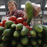 Эхо санкций: крестьяне уничтожают выращенные овощи, рынки заполнены продуктами из Польши