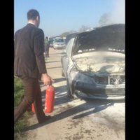 Video: Jelgavas šosejas malā sadeg 'Mercedes-Benz'