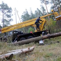 Шторм в Латвии: утром без электричества оставалось около 700 клиентов Sadales tīkls