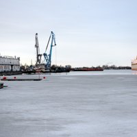 Бюро нового члена правления Рижского порта оспорило конкурс острова Криеву