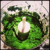 Nātru pesto