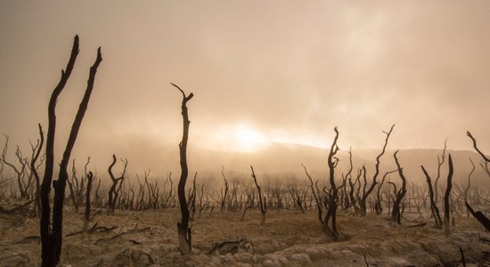 Atļaut sev bēdāties: septiņi ieteicamie soļi pēc smagas šķiršanās