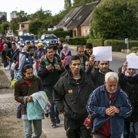 Дания занялась антирекламой своей страны среди сирийцев