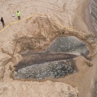 Daugavgrīvas pludmalē atrasts 19. gadsimta burukuģa vraks