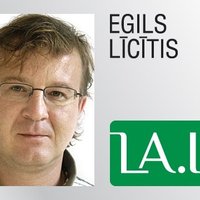 Egils Līcītis, 'Latvijas Avīze': Aizsargdambis preambula un absurdu pārmetumu straume – 'savaldiet šos latviešus'