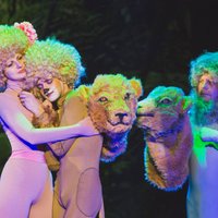 Daugavpilī pirmizrādi piedzīvojis mūzikls bērniem 'Leo - mazais lauva'