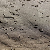 Foto: Vakarbuļļu pludmales smiltīs novēroti neparasti raksti