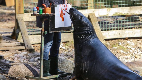 Ronis Puika, Rīgas Zoo