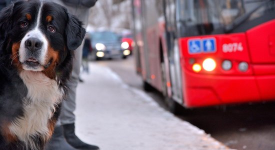 Nedēļas nogalē tiks atcelti 44 reģionālo autobusu maršrutu reisi