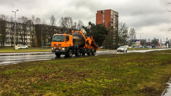 Koku pārstādīšana Imantā pie "Depo" - 2