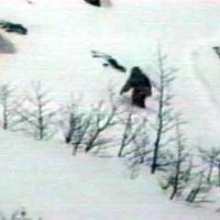 В Кемеровской области "на 95%" нашли снежного человека