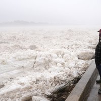 Уровень воды в Даугаве поднимается: объявлено красное предупреждение. Затоплено около 10 домохозяйств