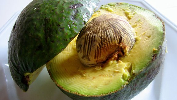 avocado1_xenia