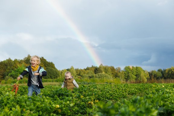 bio izaicinājums, bioloģiski