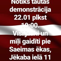 "Желтые жилеты" во время акции протеста потребуют внеочередные выборы в Сейм