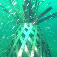 Kad ar sauszemes muzeju vien nepietiek: zemūdens skulptūru parks Floridā