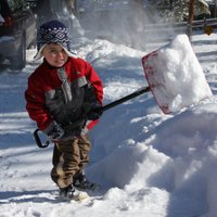 Выбираем лопату для уборки снега: материалы и характеристики (+ВИДЕО)