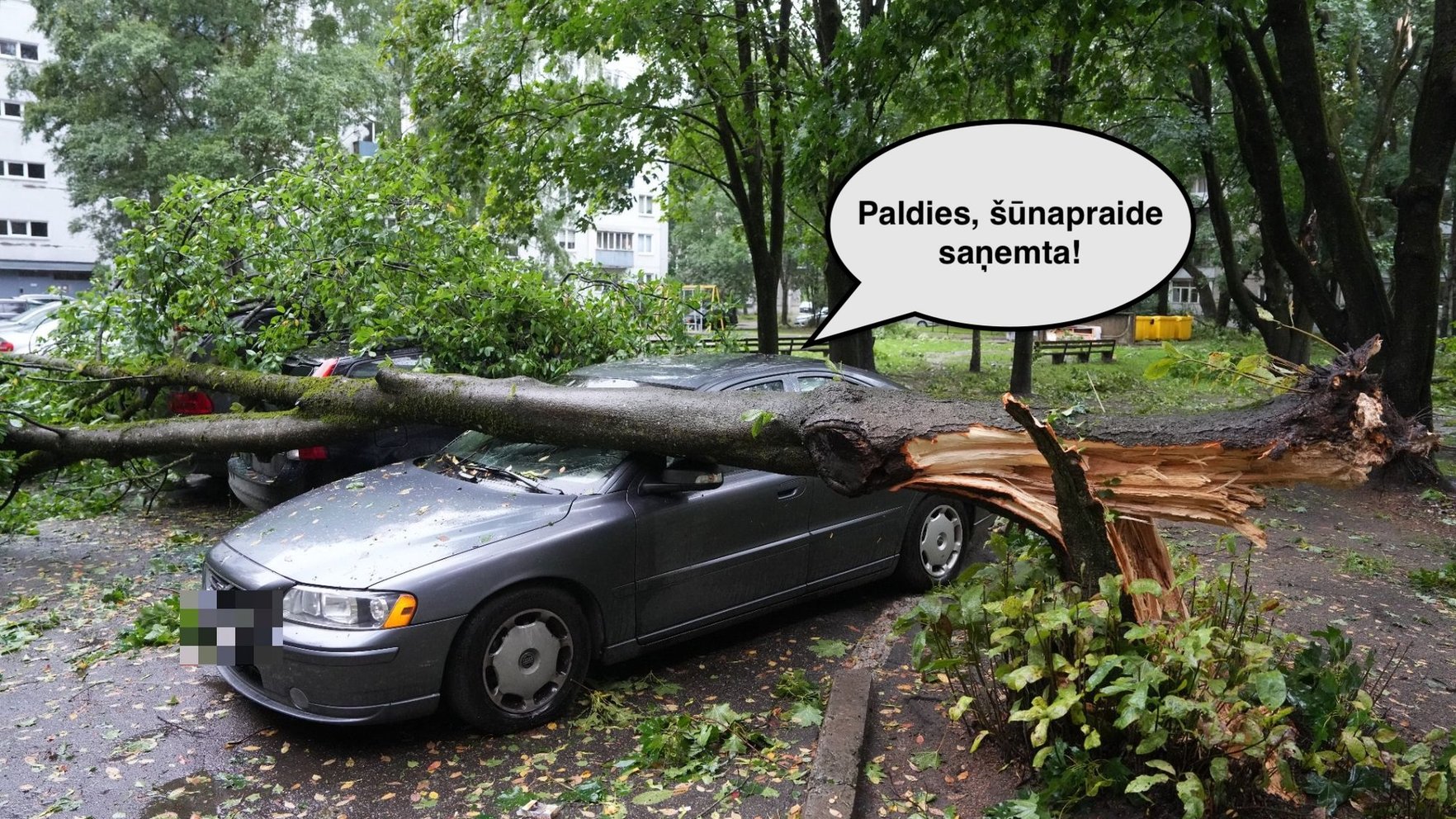 Latvia's storm preparedness: A test of resilience