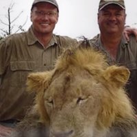 Zimbabves slaveno lauvu nošāvis amerikāņu zobārsts, kurš iepriekš sodīts par lāča medībām