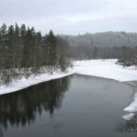 Гражданин Латвии проник в Украину, переплыв реку в мороз