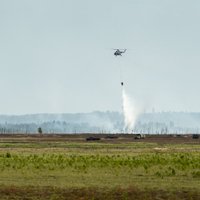 СМИ: военные с непростительным опозданием оповестили о пожаре на Адажском полигоне